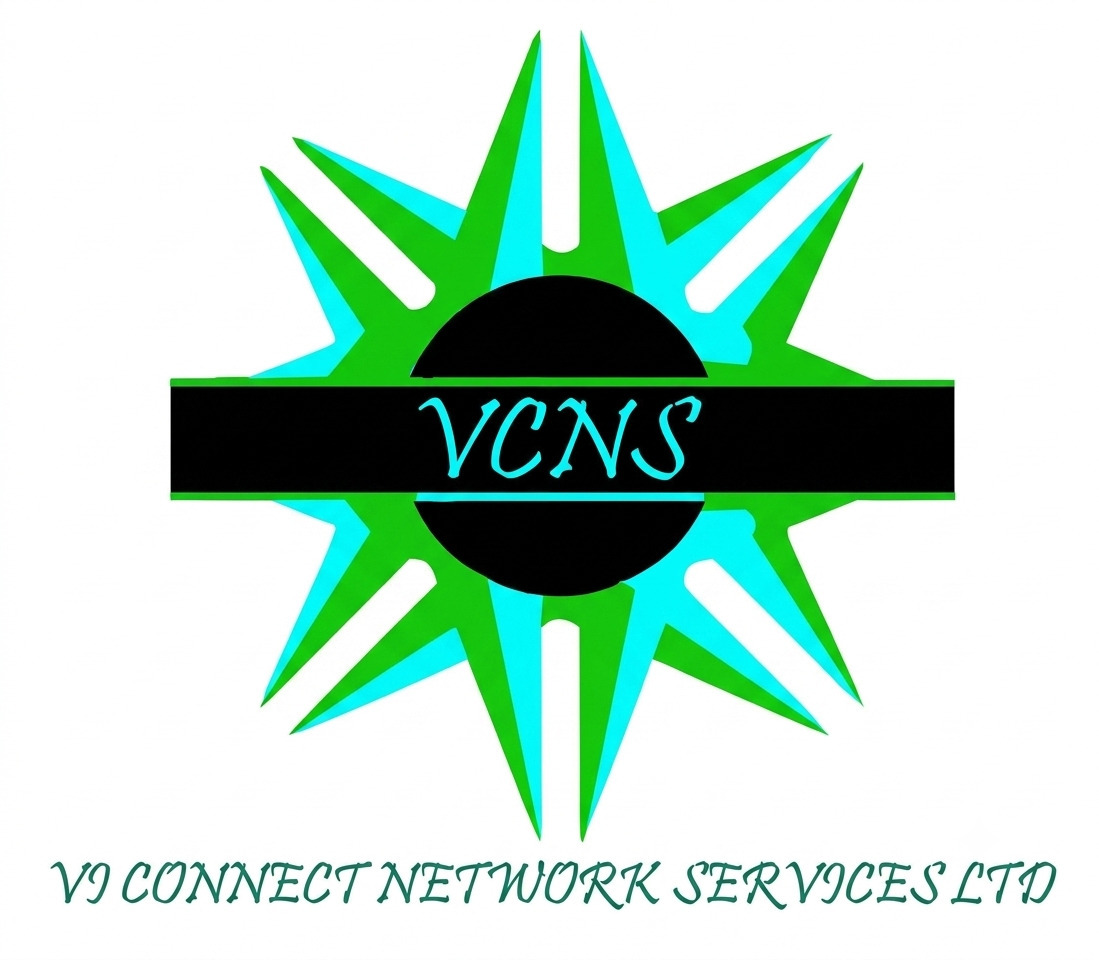 VI Connect Network Services logo